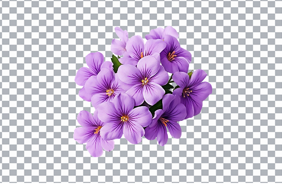 Background Remover