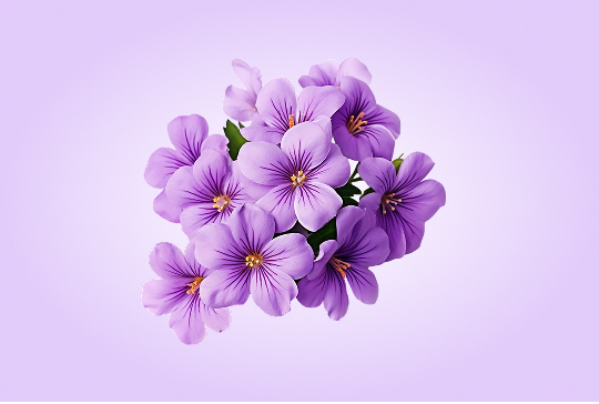 Background Remover before
